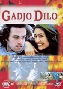 دانلود فیلم The Crazy Stranger 1997407241-916423491