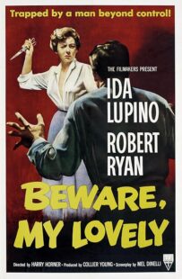 دانلود فیلم Beware, My Lovely 1952420627-2081308682