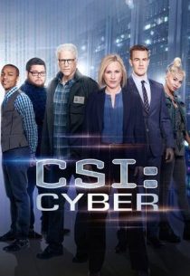 دانلود سریال CSI: Cyber428329-908474941